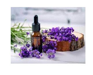 LAVENDER OIL
